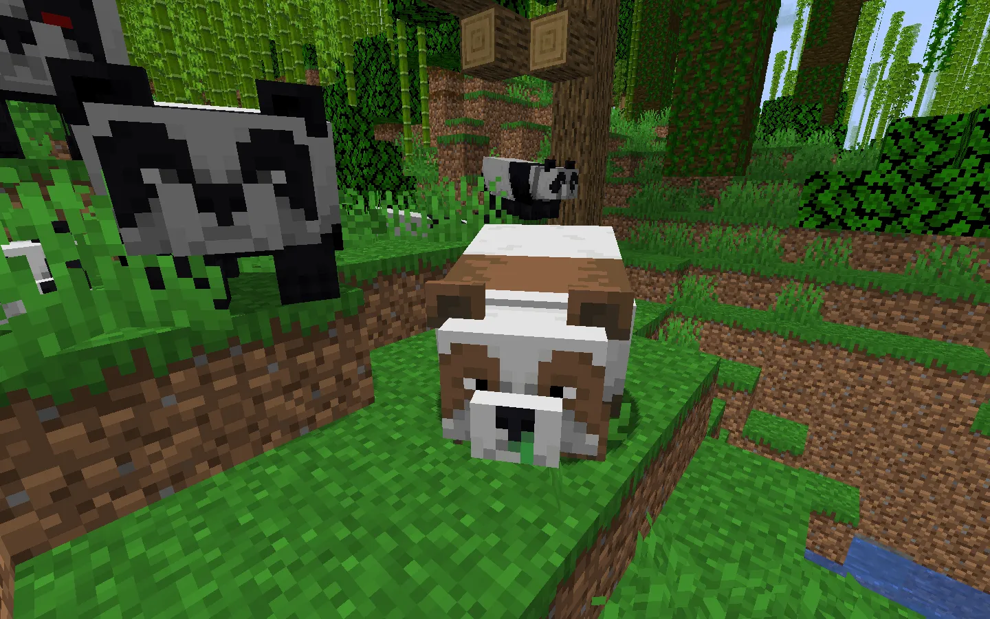 Panda and Axolotl Variants, Текстуры, Minecraft