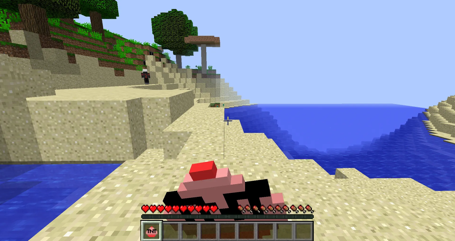 Cole's Randomness, Моды, Minecraft