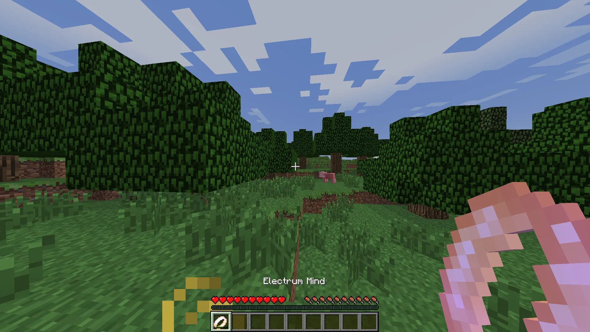 Feruchemy, Моды, Minecraft