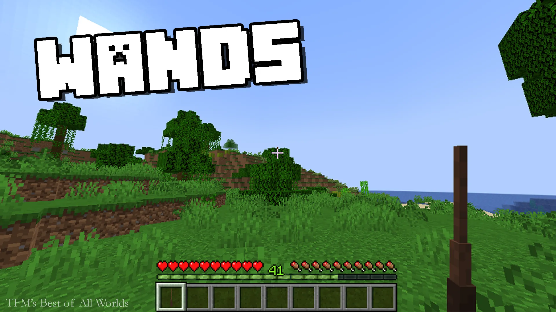 TFM's Best of All Worlds (Lightsabers, Wands, Terraria, Bosses, etc.), Моды, Minecraft