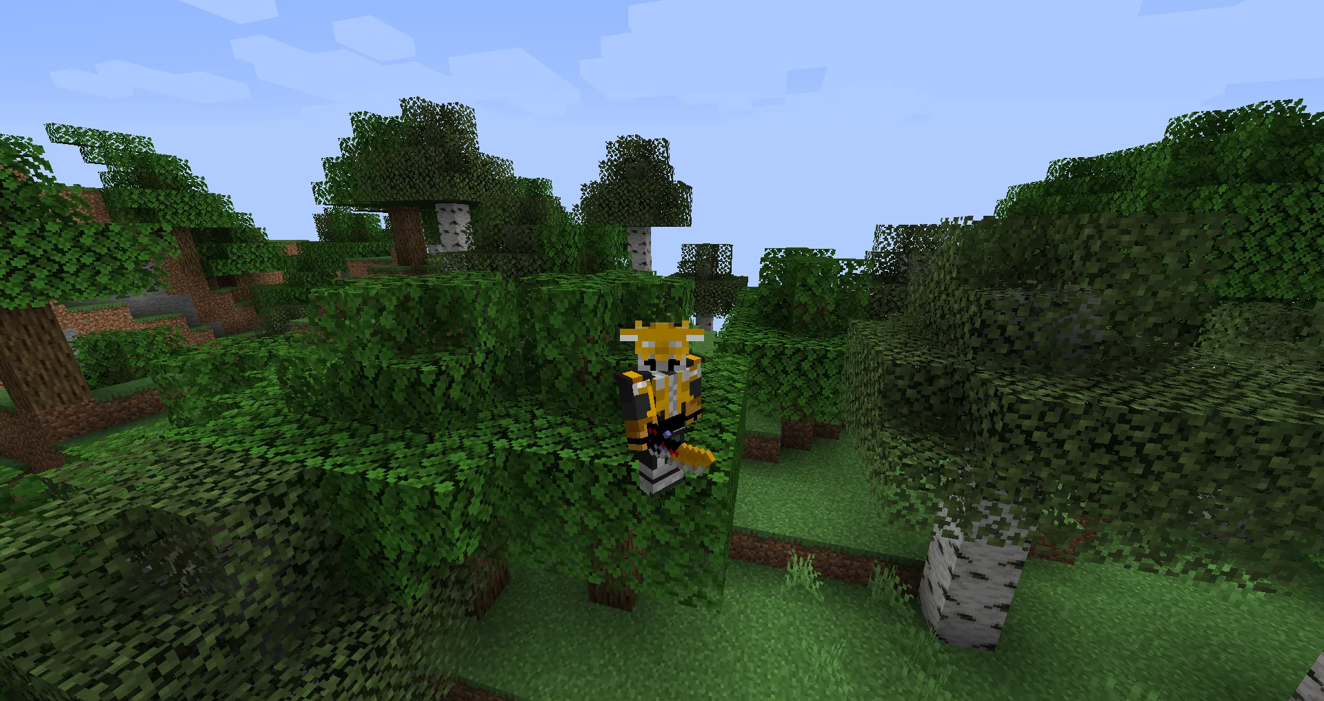 kamen rider Den-O, Моды, Minecraft