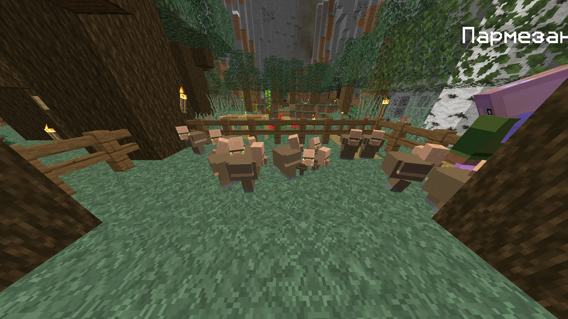 Abunga Craft Server Pack, Текстуры, Minecraft