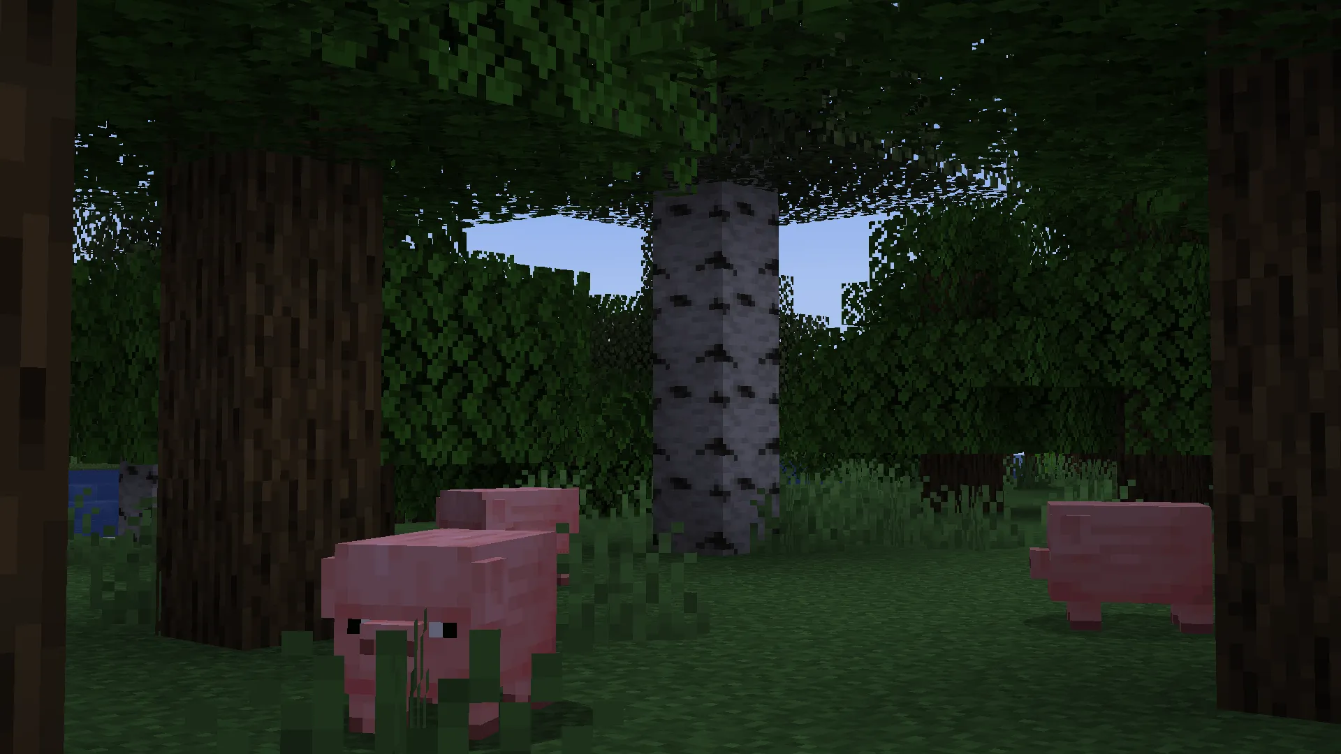 Mixed Litter, Моды, Minecraft