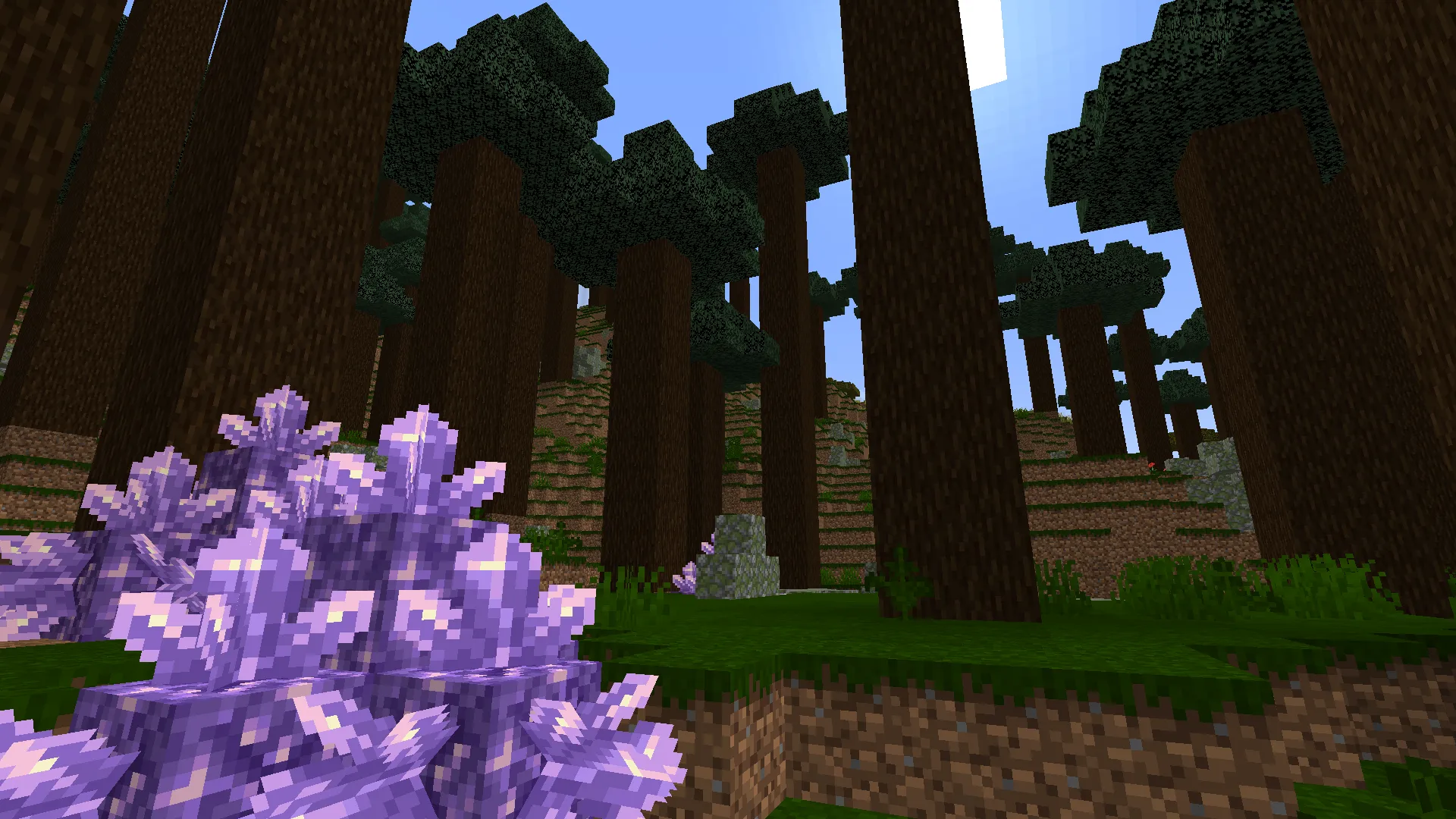 Cofin's Biomes, Моды, Minecraft
