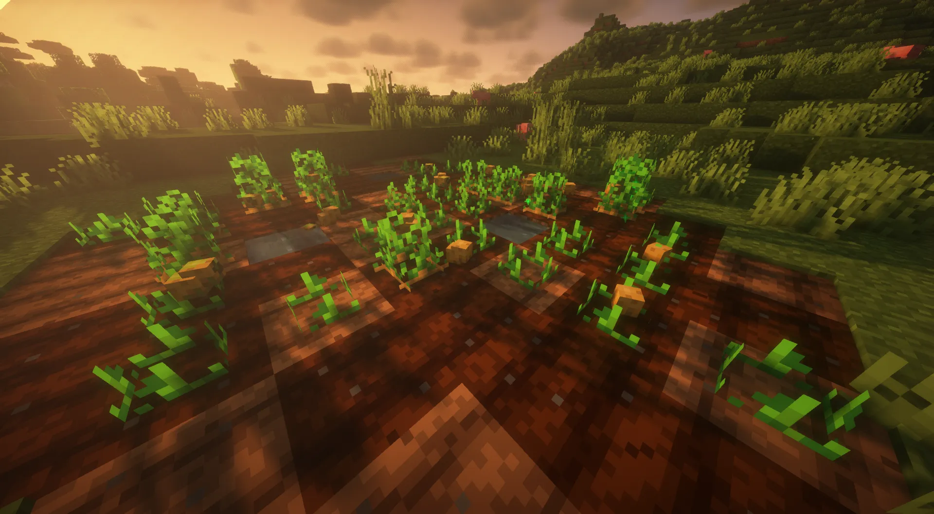 Chunks Food Replacer — скриншот 1 (Текстуры, Minecraft)