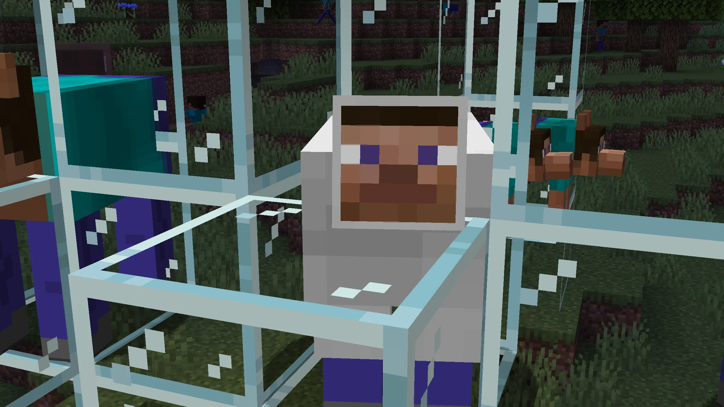 The Steve — скриншот 15 (Текстуры, Minecraft)