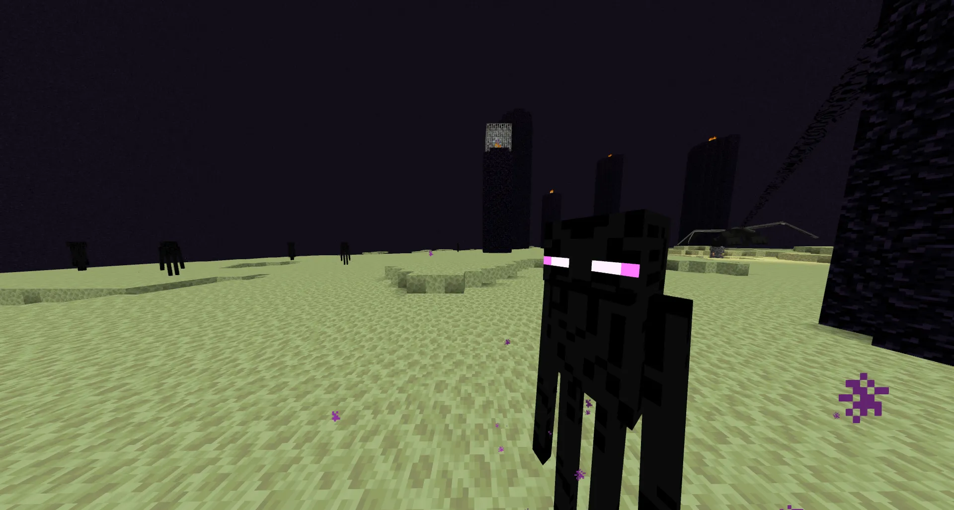 Derpify, Текстуры, Minecraft