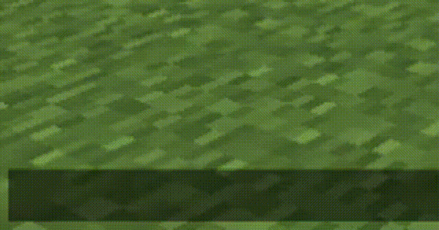 Pet Phrase [Forge], Моды, Minecraft