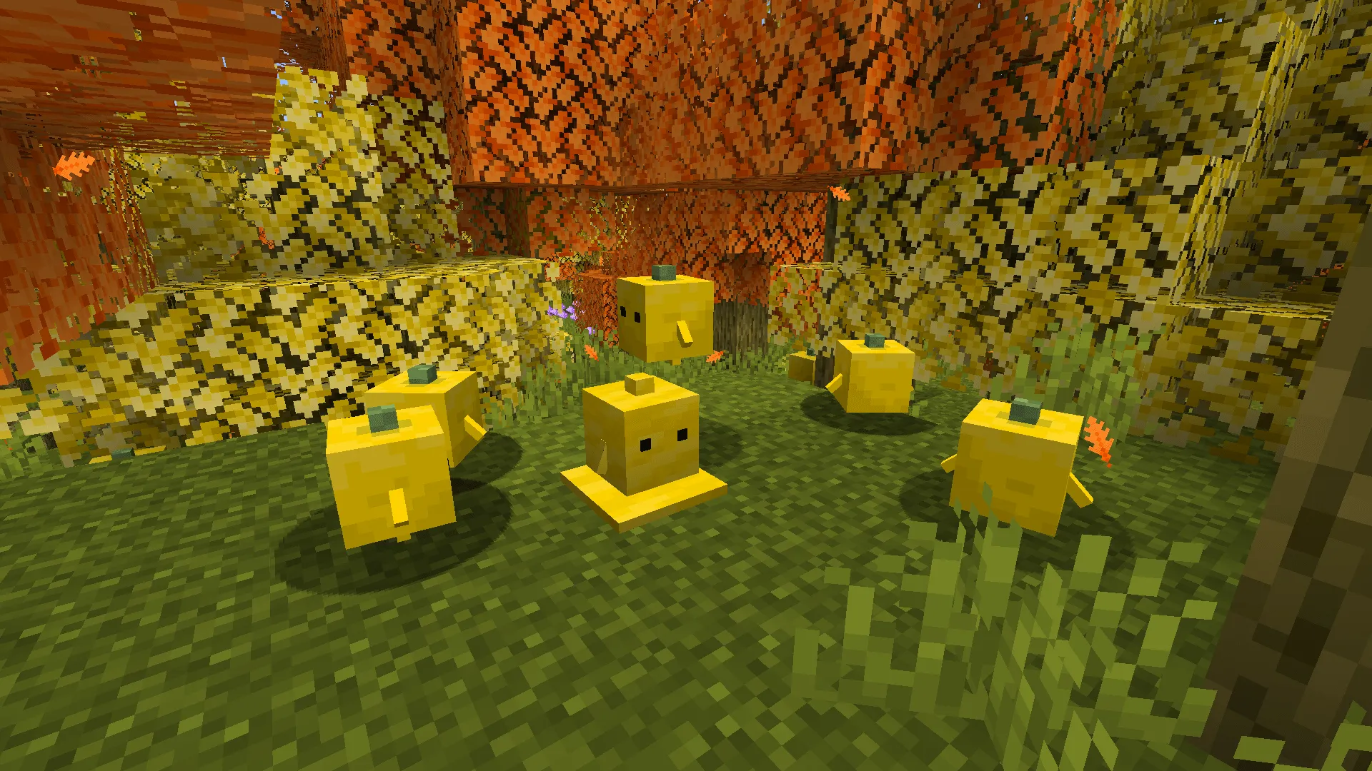 Cubeberries, Моды, Minecraft