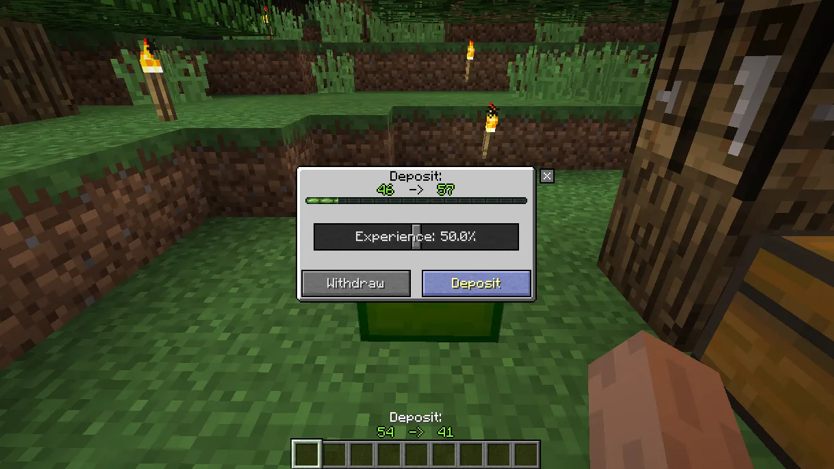 XP Holder, Моды, Minecraft