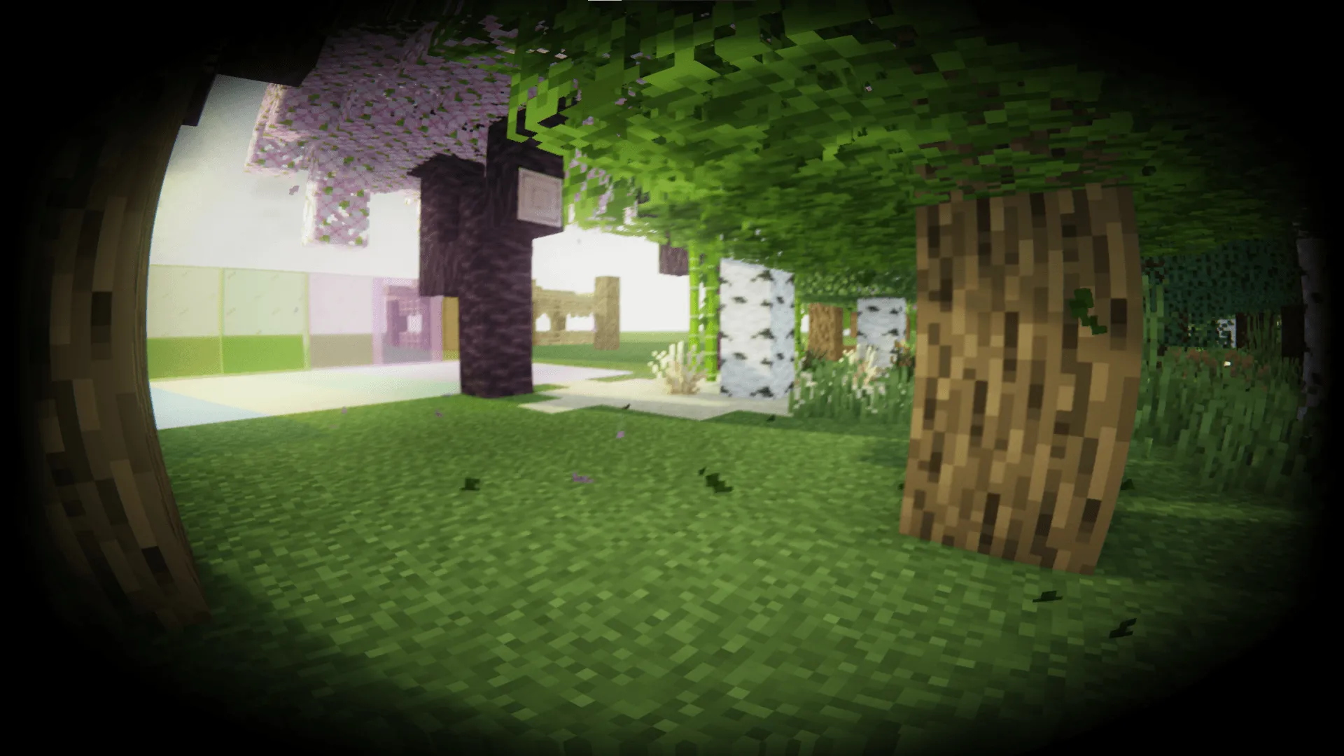 Body Camera Shader (MakeUp Edit), Шейдеры, Minecraft