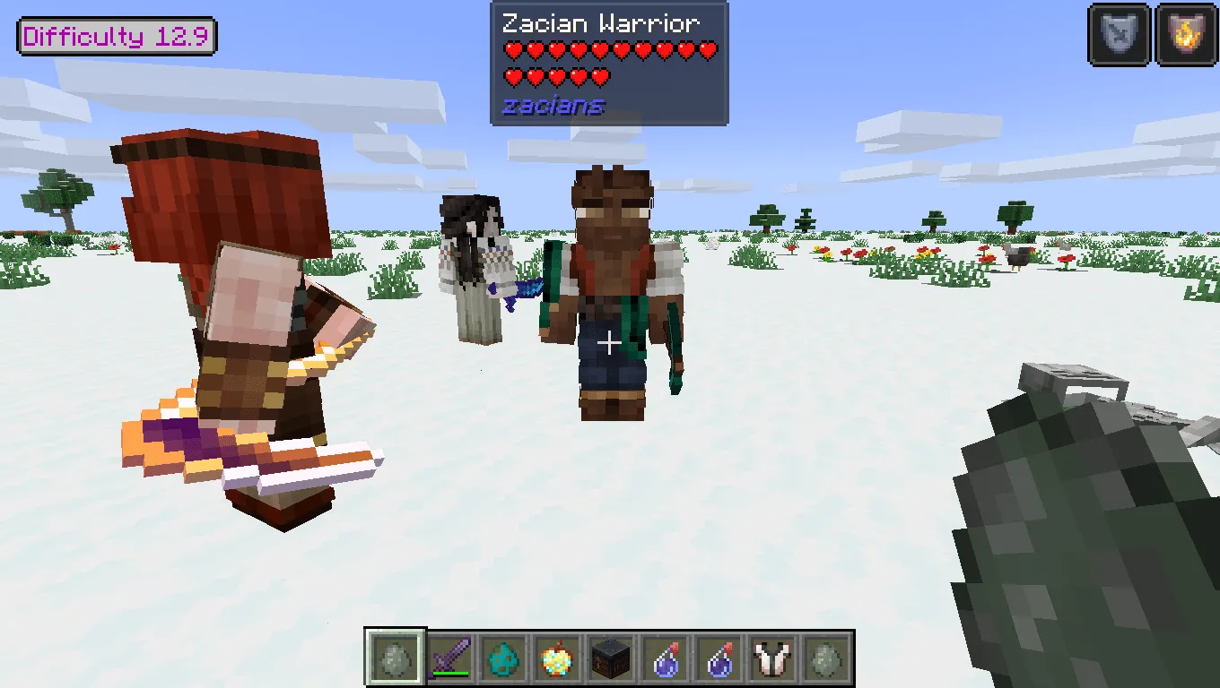 Zacian Companions, Моды, Minecraft
