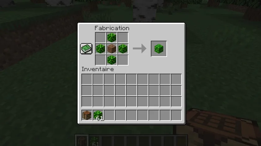 Steve's Blocks, Моды, Minecraft