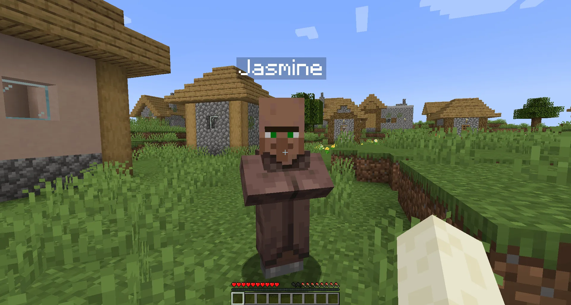 Custom Villager Names — скриншот 3 (Моды, Minecraft)