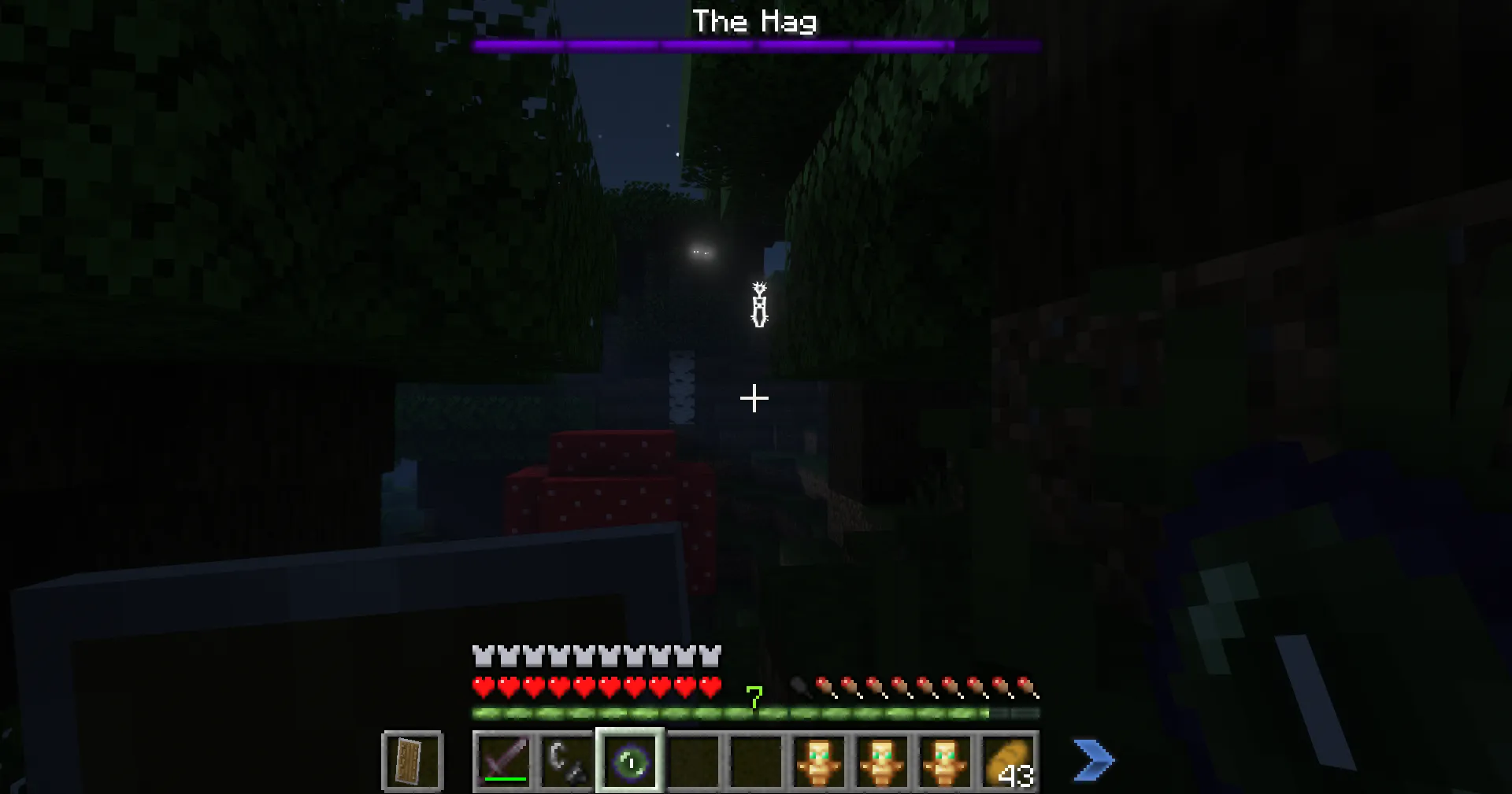 The Night of the Witch — скриншот 5 (Моды, Minecraft)