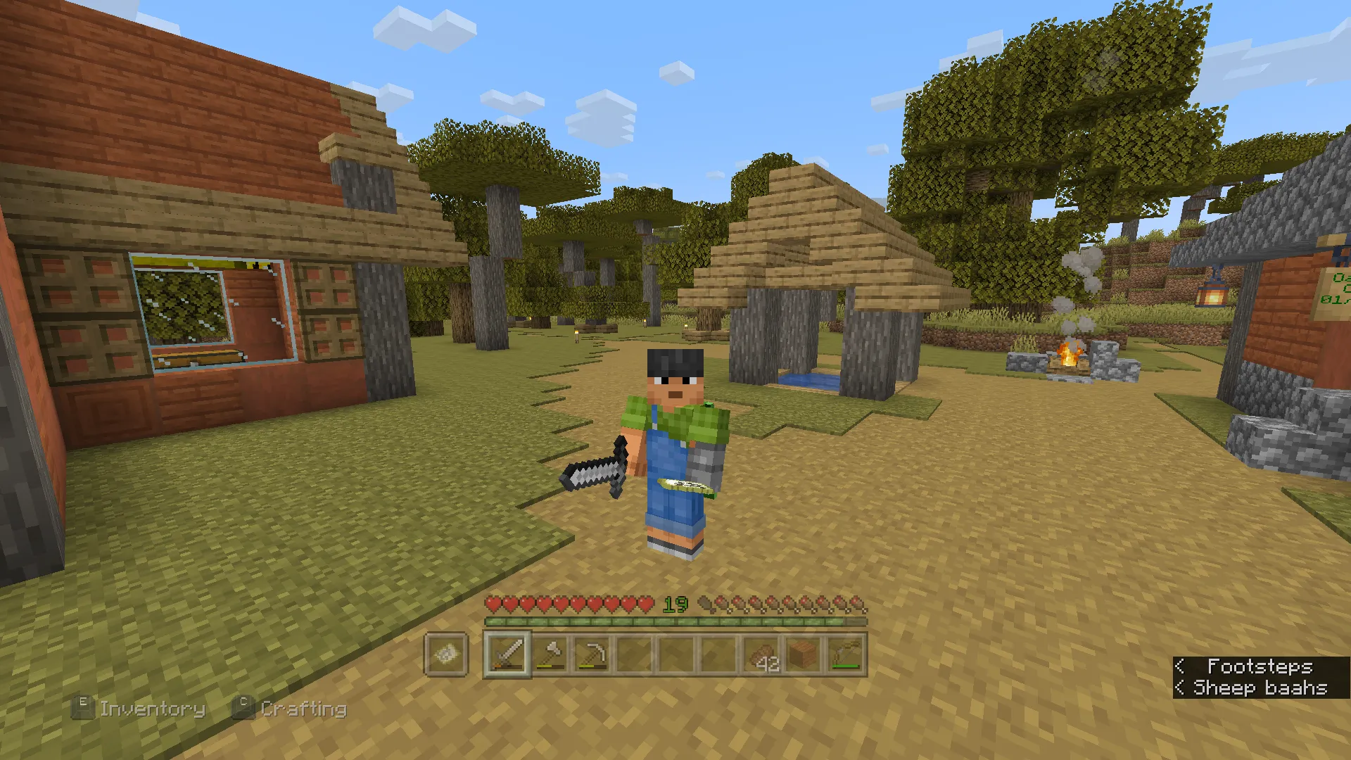 Default Skin Pack, Текстуры, Minecraft