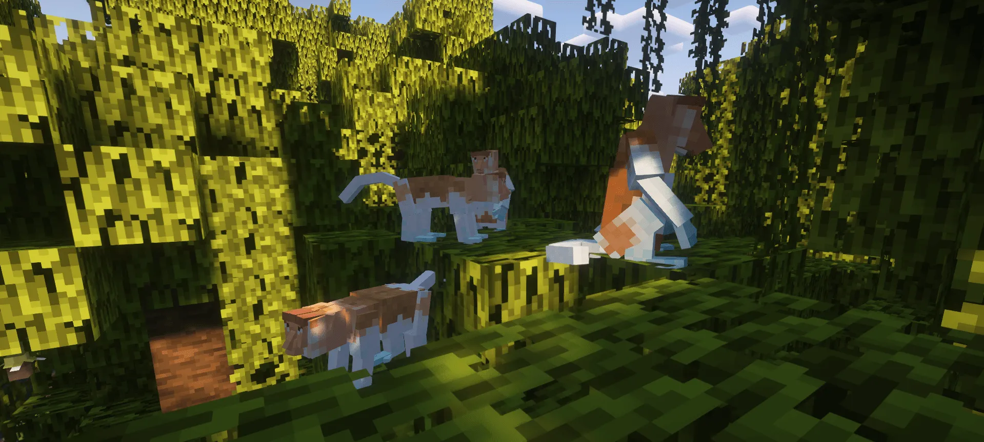 A Zoological Project, Моды, Minecraft