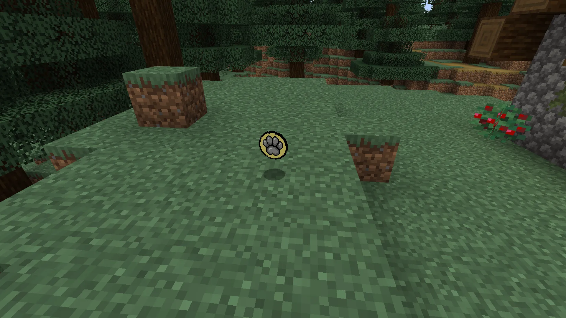 Dogs Coins, Моды, Minecraft