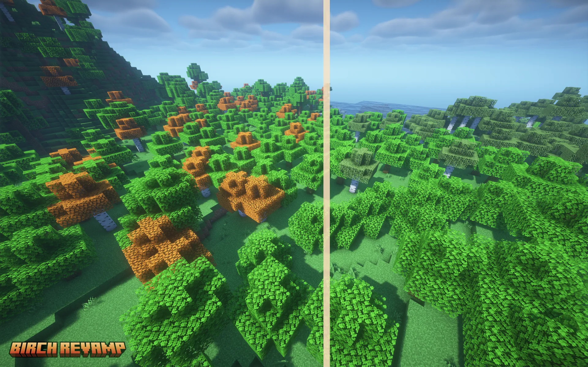 Birch Revamp, Текстуры, Minecraft