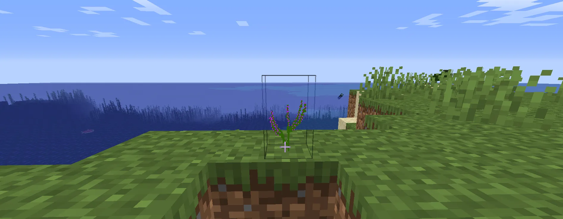 A Few More Flowers, Моды, Minecraft