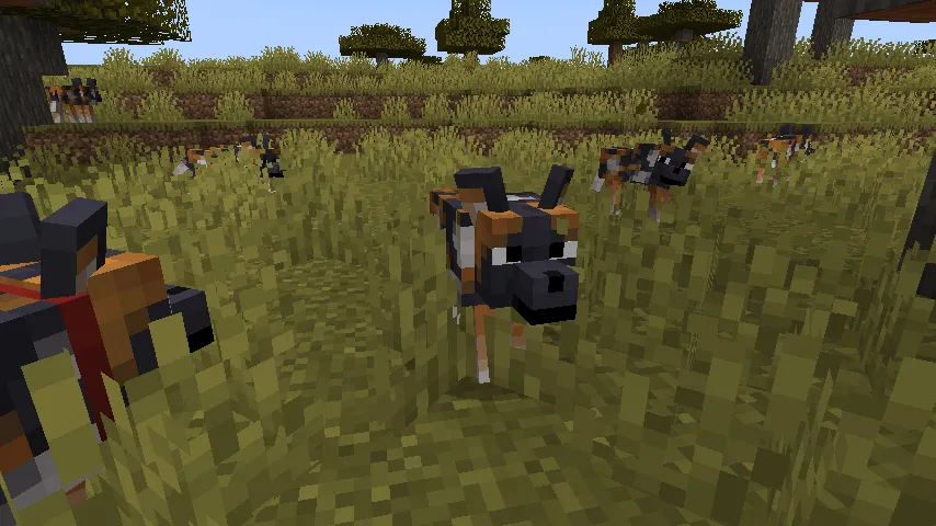 Fresh Animations Patch - Boy Why You So Ears — скриншот 5 (Текстуры, Minecraft)