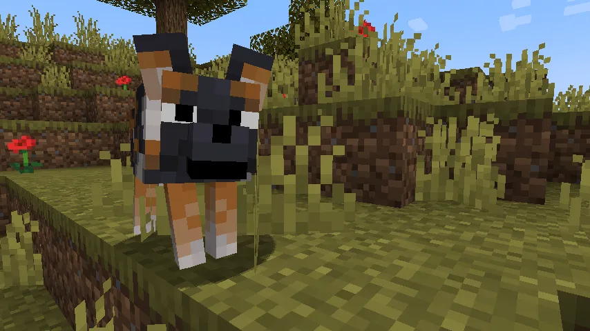 Fresh Animations Patch - Boy Why You So Ears — скриншот 7 (Текстуры, Minecraft)