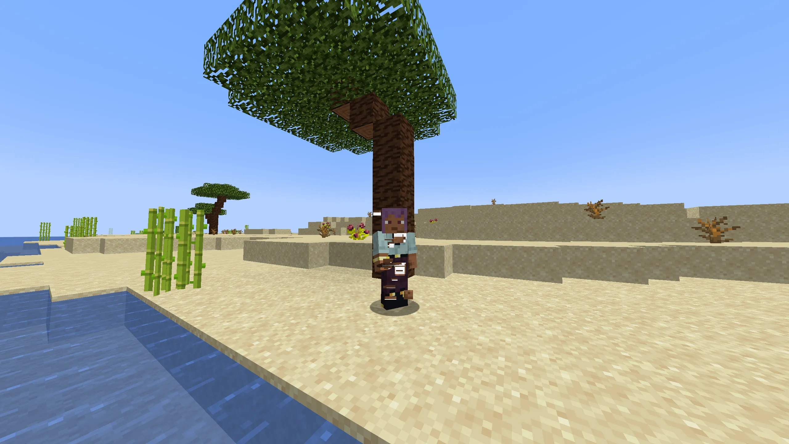 Desert Update (PixelDarks Version), Моды, Minecraft