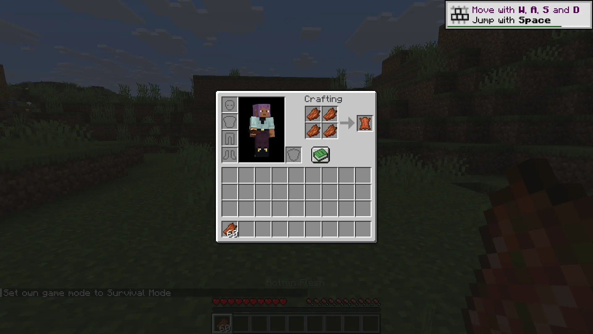 Useful Rotten Flesh, Дата-паки, Minecraft