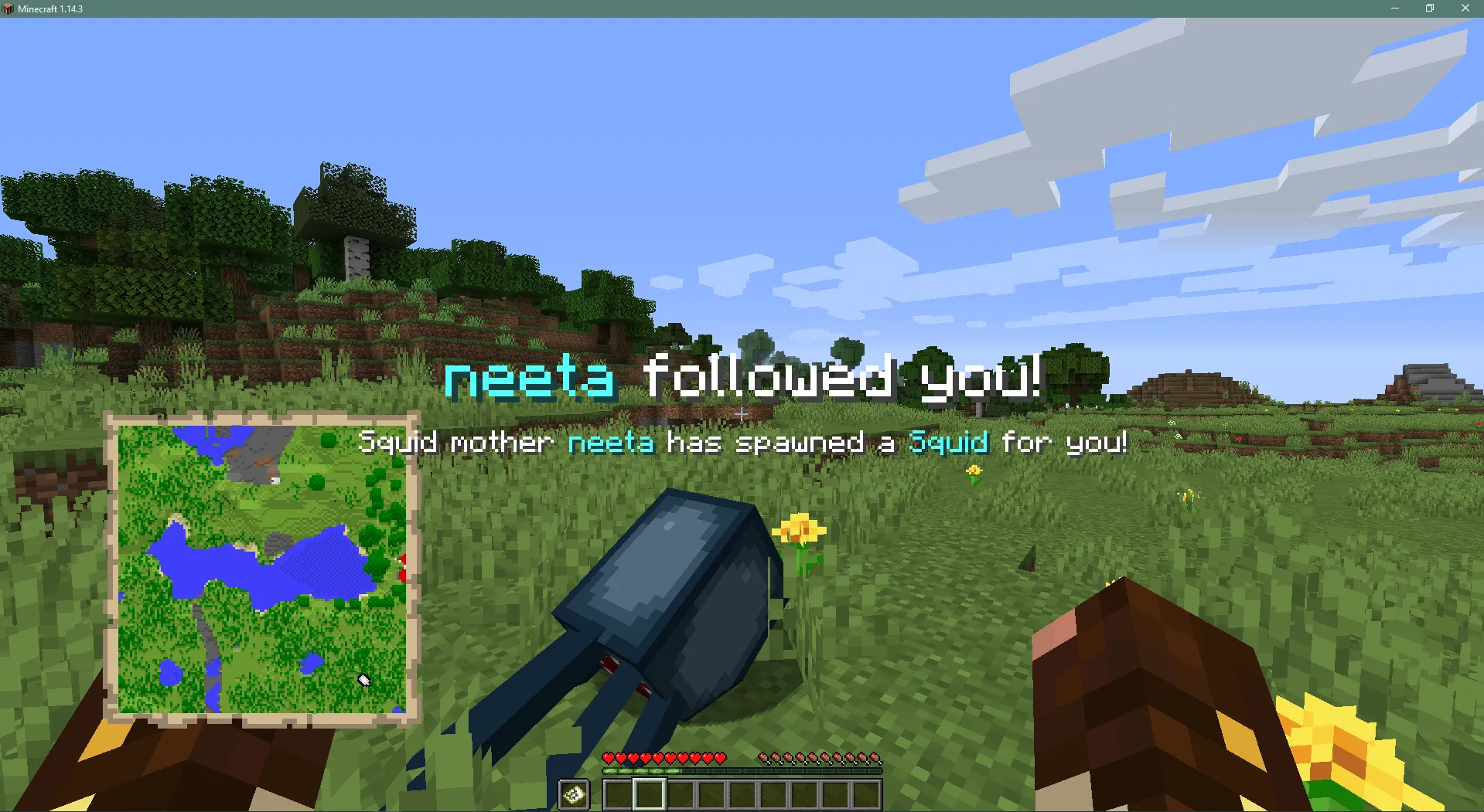 TwitchSpawn, Моды, Minecraft