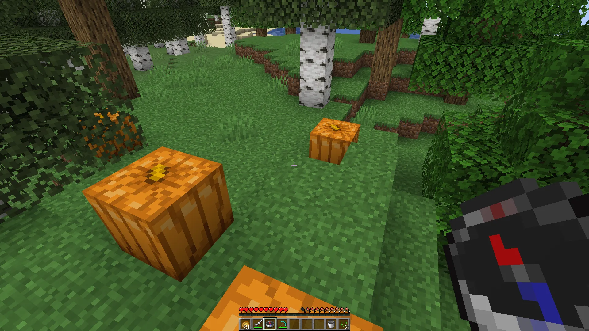 DSWG Better Compass — скриншот 3 (Текстуры, Minecraft)