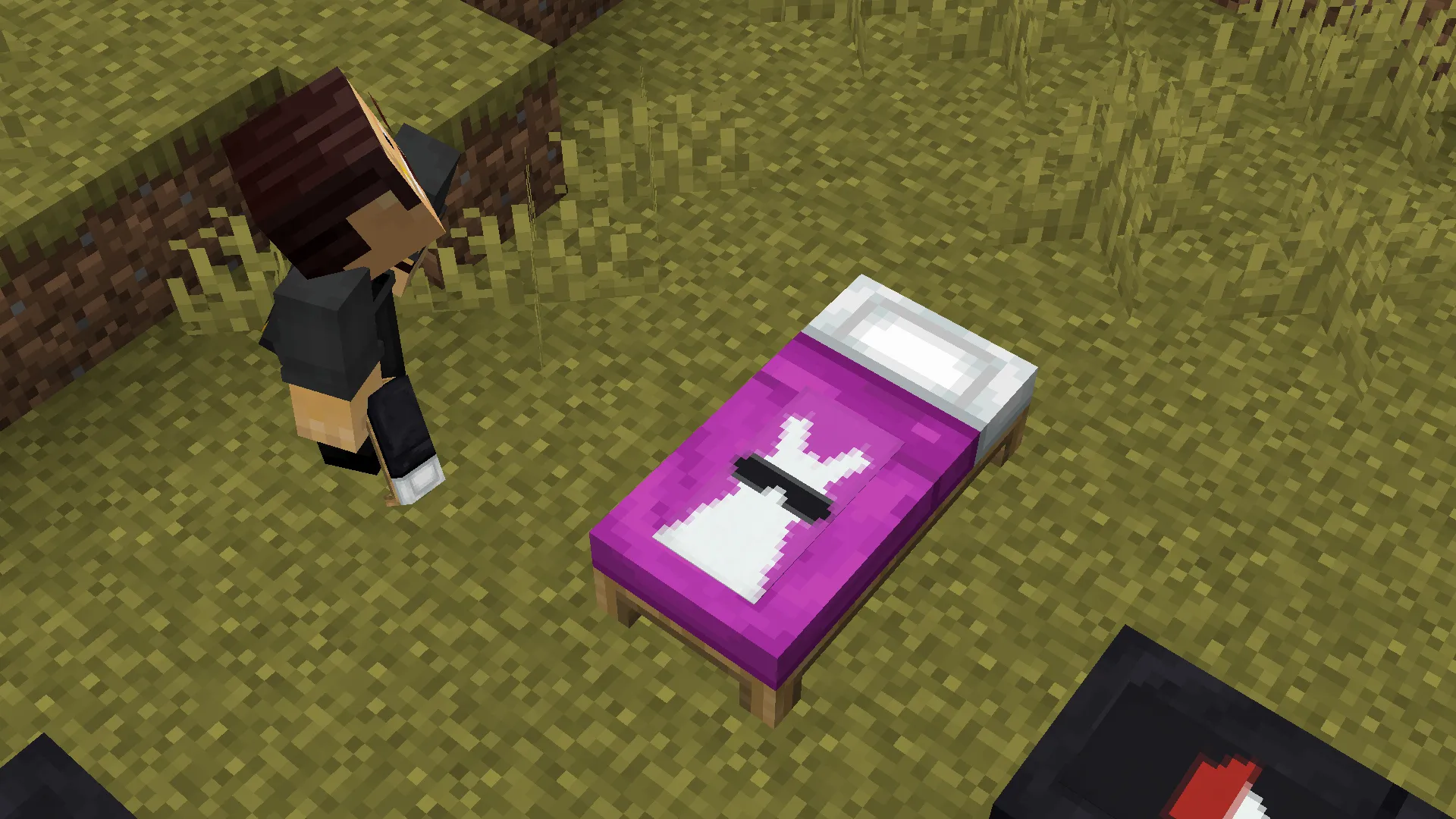 WL Custom Beds, Кастомизации, Minecraft