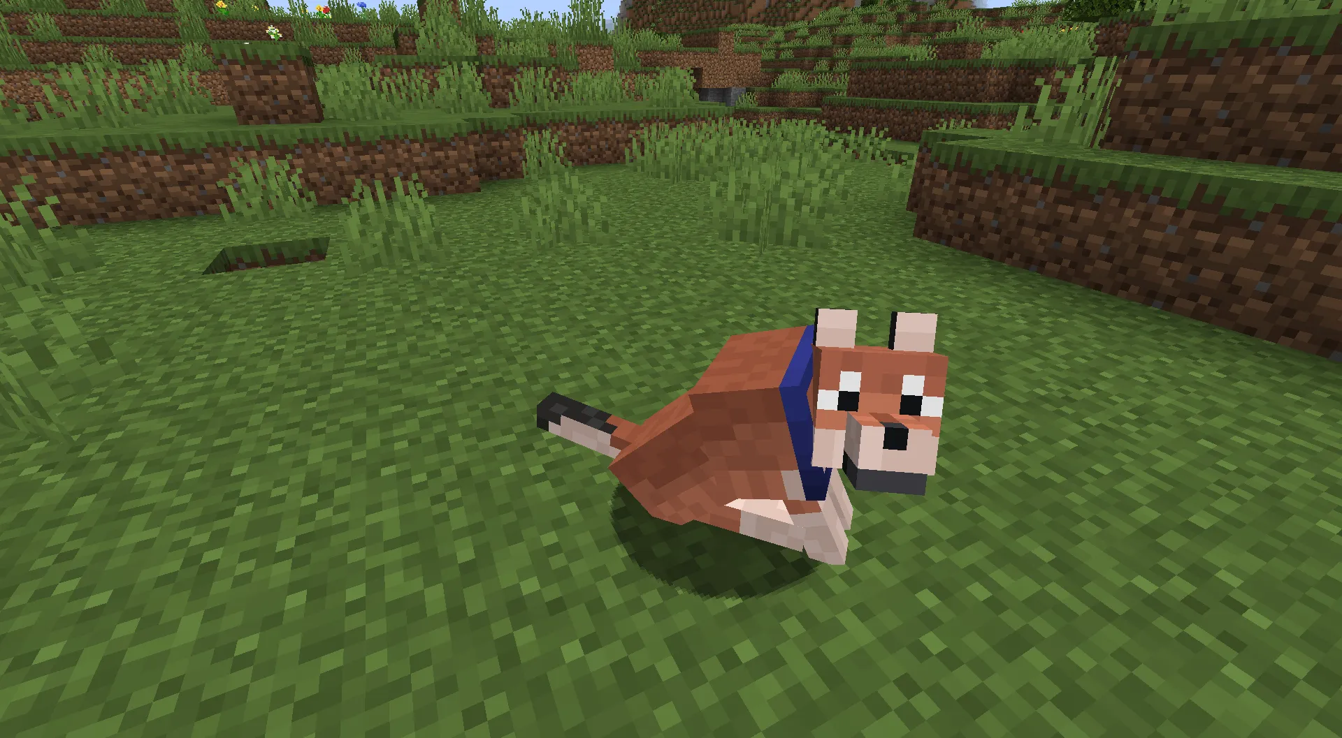 Icea's Variants, Дата-паки, Minecraft