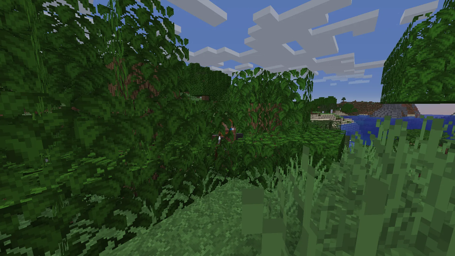 TinyTweaks, Моды, Minecraft