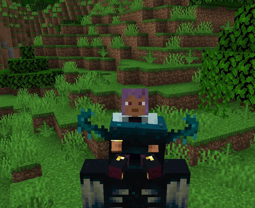 Mount Journal, Моды, Minecraft