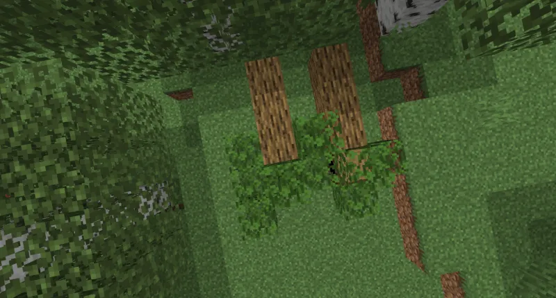 project-597865, Моды, Minecraft