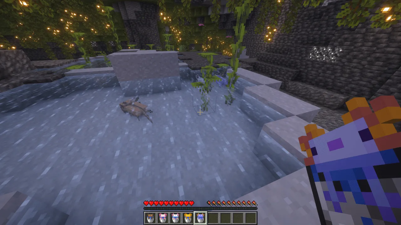 Undopia Different Axolotl Buckets, Текстуры, Minecraft