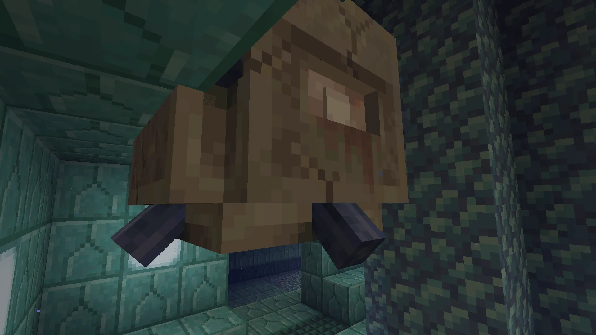 Shifted Lens, Моды, Minecraft