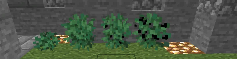 Sogoxal Realistic Resource Pack — скриншот 4 (Текстуры, Minecraft)