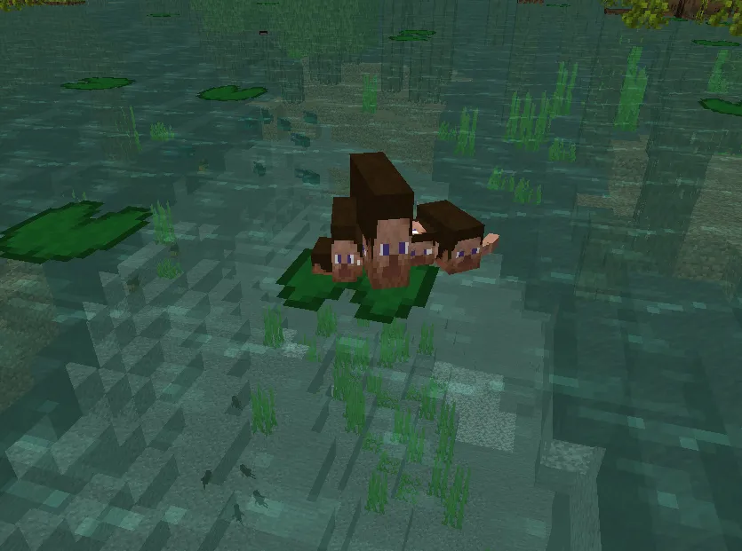 Everyone is Steve, Текстуры, Minecraft