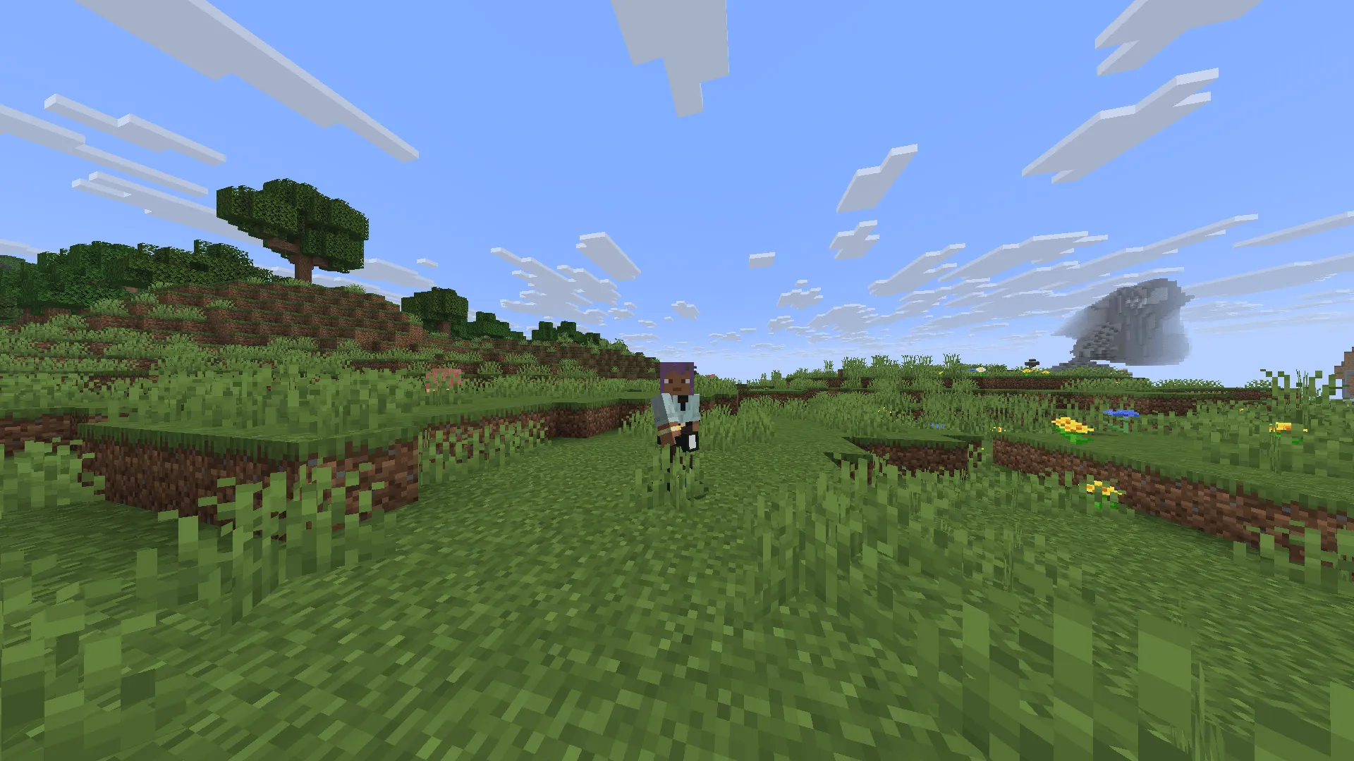 MnafTorch, Текстуры, Minecraft