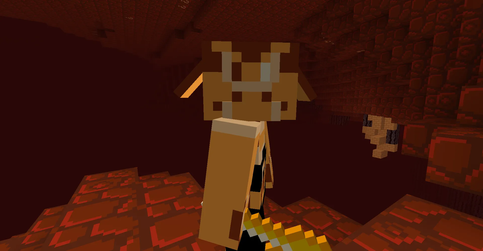 Minecraft: Super Mario Bros. Edition DELXUE — скриншот 5 (Текстуры, Minecraft)