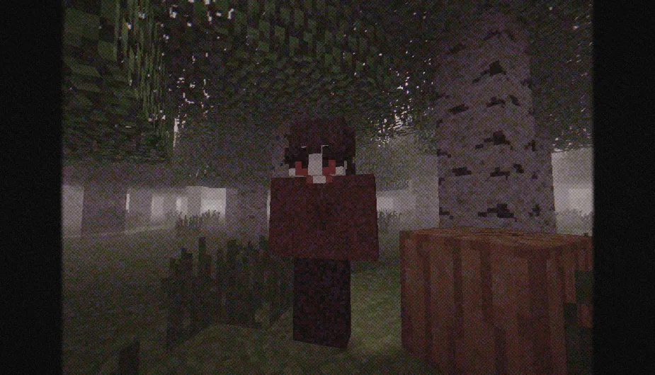 Mirror Horror Project, Моды, Minecraft