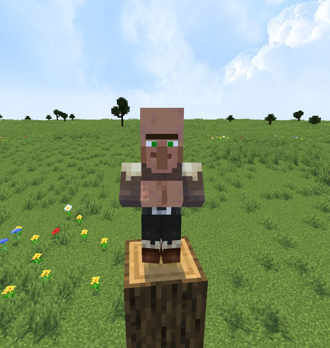 Modern Villagers! (Fresh Animations), Текстуры, Minecraft