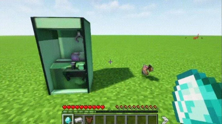 MineGooseDuck, Моды, Minecraft