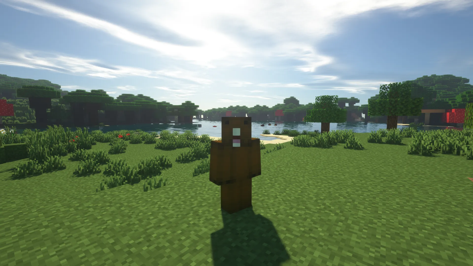 Lil' Beaver, Моды, Minecraft