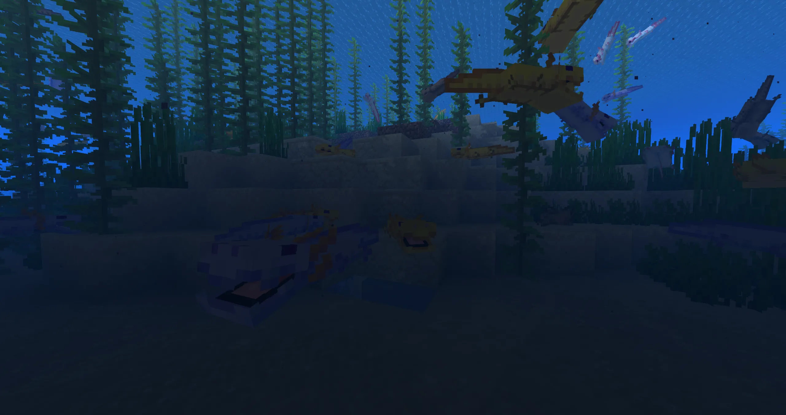 Shiny's Dracolotls, Текстуры, Minecraft