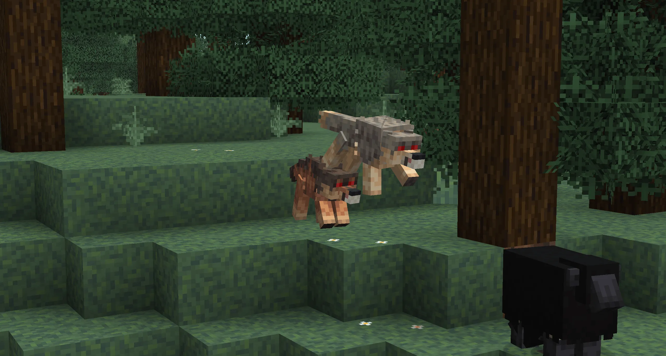 Acidul's Wolves [OPTIFINE/EMF] — скриншот 7 (Текстуры, Minecraft)