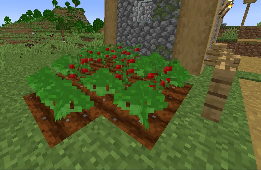 Food Garden — скриншот 8 (Моды, Minecraft)