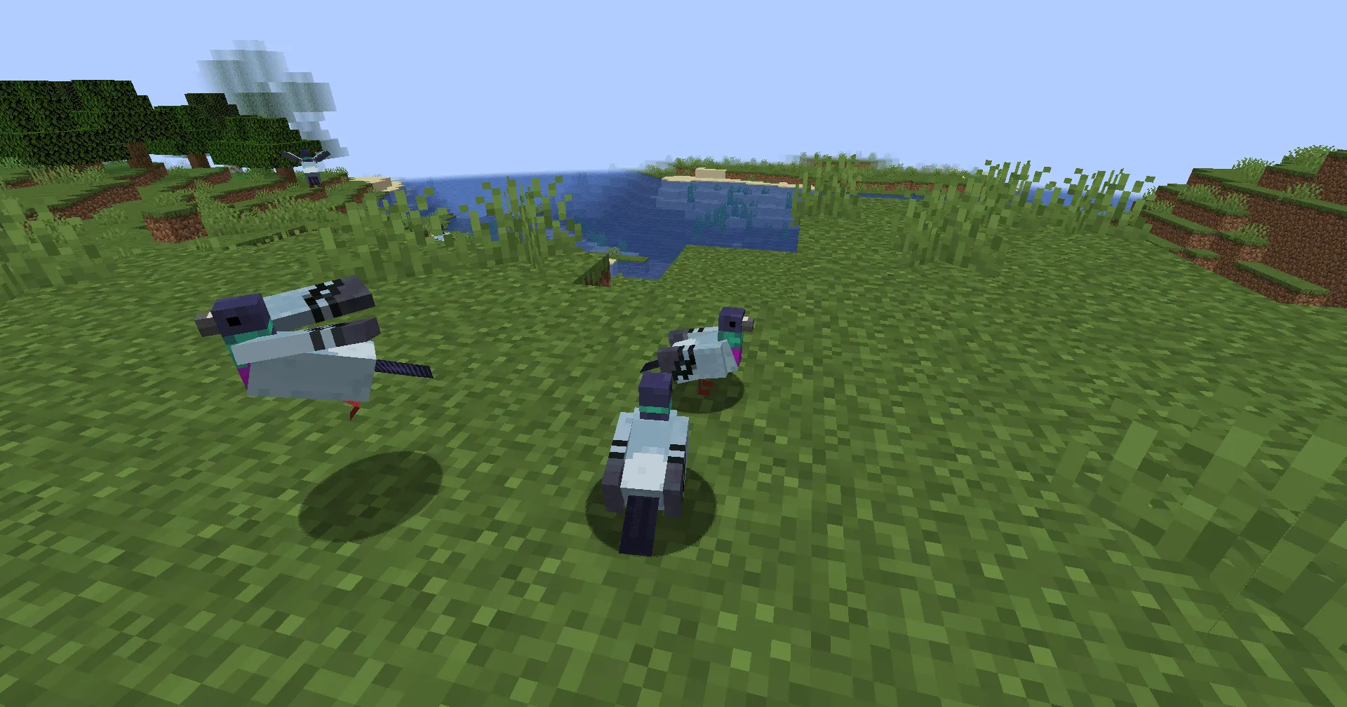 Potato's Pigeons — скриншот 1 (Моды, Minecraft)