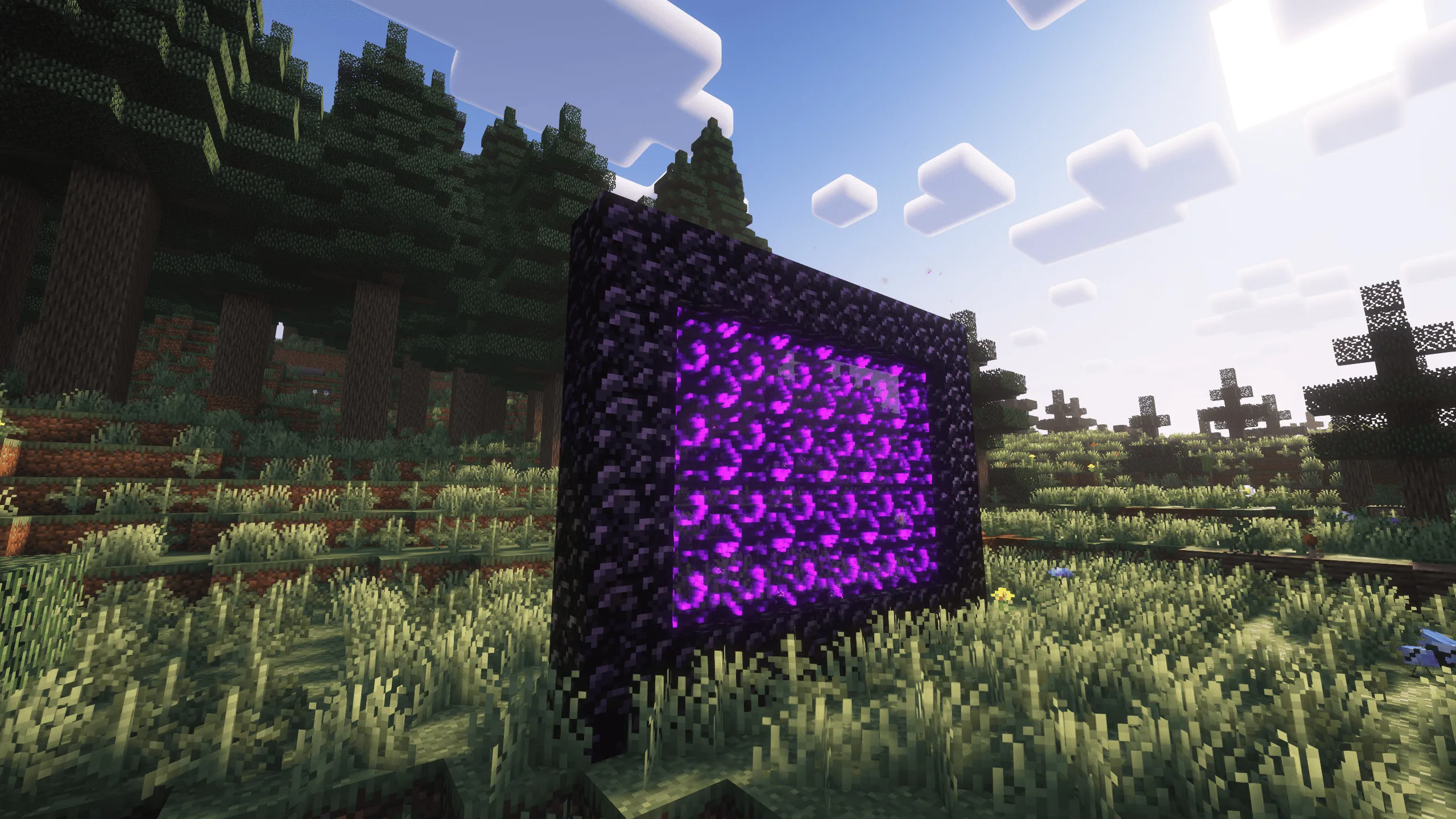Custom Nether Portals [Any Shape Nether Portals], Моды, Minecraft